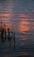 Last Light Reflection (No. 932)