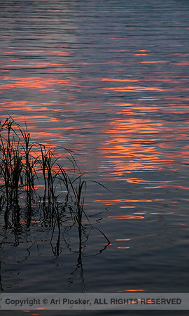 Last Light Reflection (No. 932)
