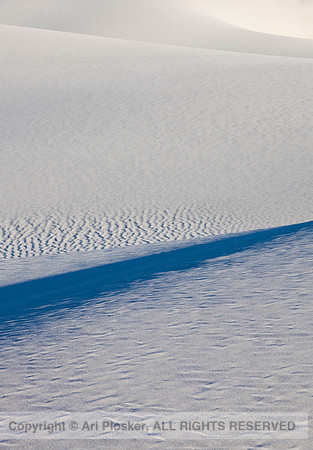 The Blue Line (No. 209)