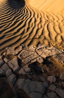Mudflat and Dune (No. 235)