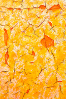 Abstract in Orange and Red