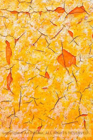 Abstract in Orange and Red