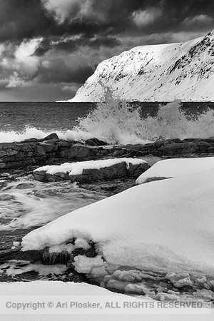 Breaking Wave 1 (No. 6313)