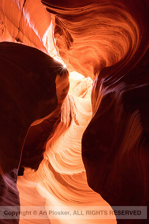 Swirl and Sunburst