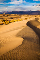 Death Valley Dunes (No. 101)