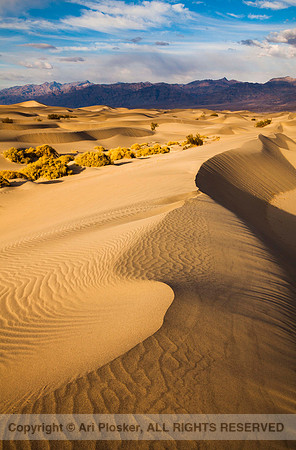 Death Valley Dunes (No. 101)