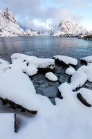 Reine (No. 2176)