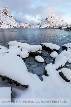 Reine (No. 2176)