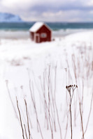 Red Hut Near Ramberg 1 (No. 3976)