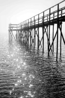 Beachside Park Pier Foggy Morning (No. 5740)