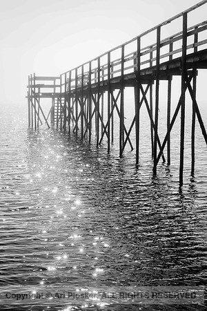 Beachside Park Pier Foggy Morning (No. 5740)