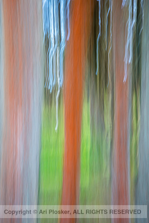 Painting at Seal Rock State Park, Oregon
