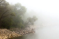 Shoreline in Fog (No. 5019)