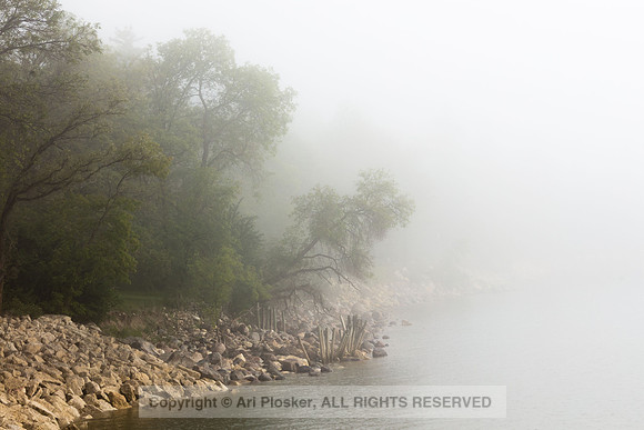 Shoreline in Fog (No. 5019)