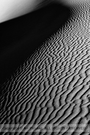 Sand Dune (Detail), Death Valley, (No. 44)