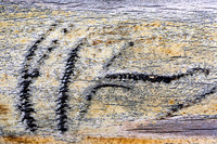 Bench Abstract 1, Santa Fe_