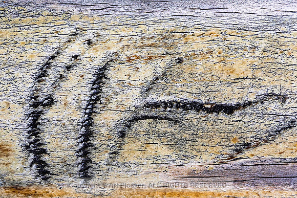 Bench Abstract 1, Santa Fe_