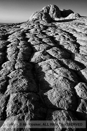 White Pocket (No. 287)