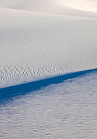 The Blue Line (No. 209)