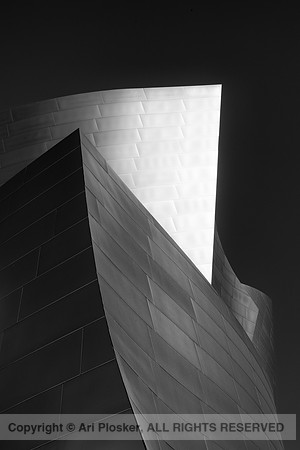 Walt Disney Concert Hall (No 0811)