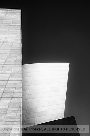 Walt Disney Concert Hall (No 0022)