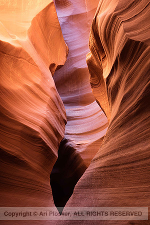 Sandstone Detail (No. 2201), Secret Canyon (No. 2127)