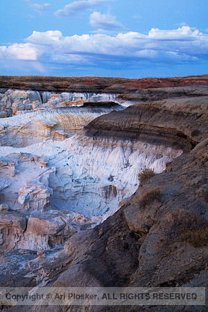 Coal Mine Canyon (No. 88)