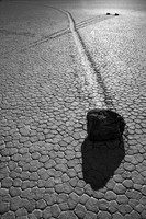 The Racetrack (No. 205)