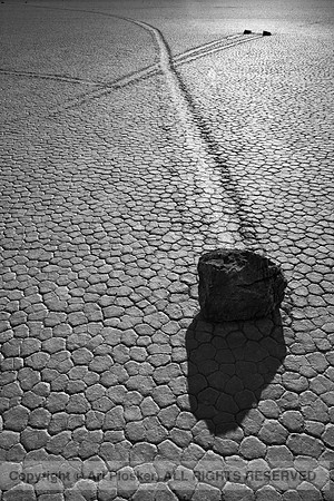The Racetrack (No. 205)