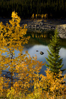 Medicine Lake (No. 198)