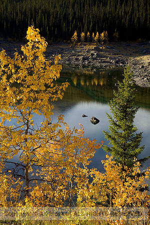 Medicine Lake (No. 198)