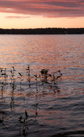 Sunset Reflection 1, Lake of the Woods (No. 819)