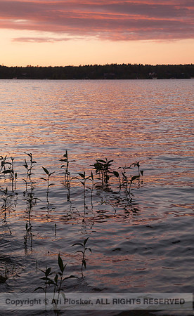 Sunset Reflection 1, Lake of the Woods (No. 819)