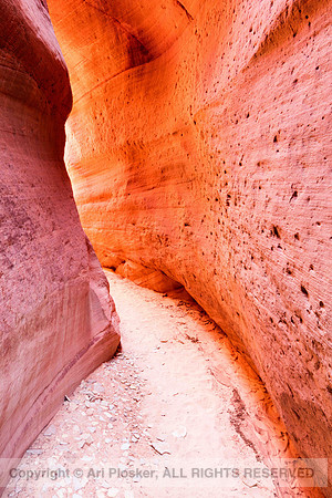 The Red Wall in Red Canyon