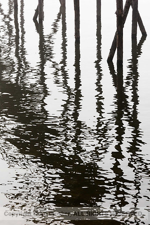 Beachside Park Pier Foggy Morning (No. 5550)