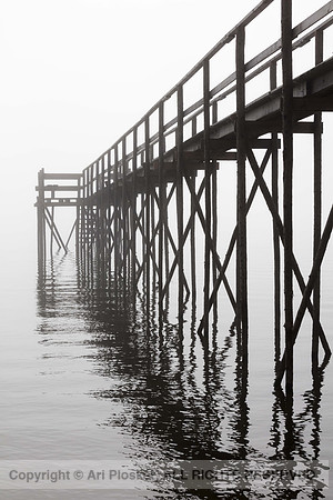 Beachside Park Pier, Foggy morning (No. 5496)