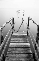 Private Pier, After The Storm (No. 44)