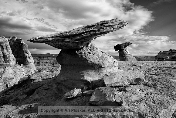 Stud Horse Point (No. 80)