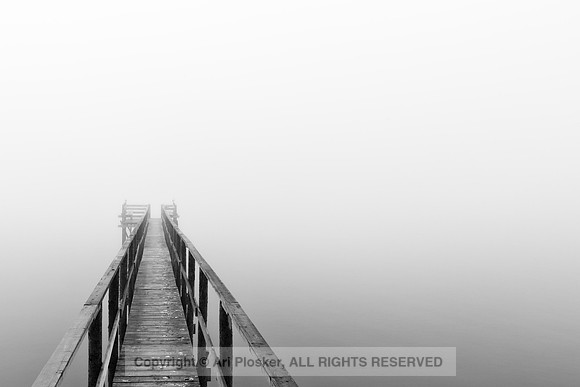 Beachside Park Pier Foggy Morning (No. 4671)