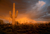 Greater Phoenix and Tucson Color