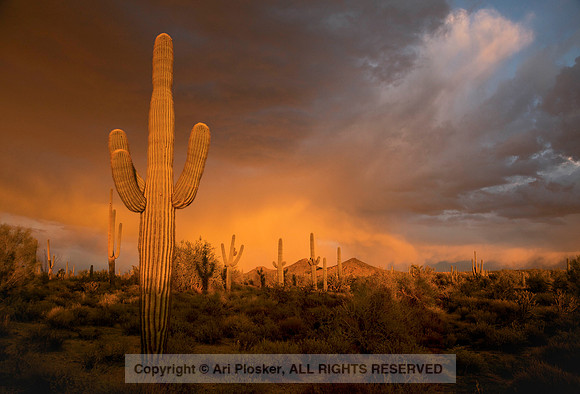 Sunset, Scottsdale
