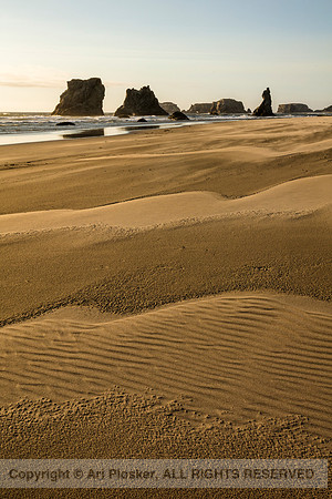 Bandon Beach, (No. 2663)