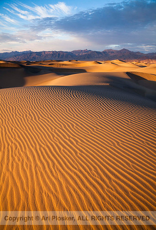 Death Valley Dunes (No. 361)
