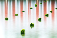 Pilings
