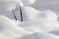 Snow covered rocks (No. 4870)