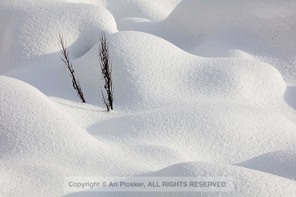 Snow covered rocks (No. 4870)