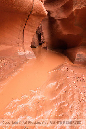Canyon X After the Flood (No. 3925)