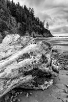 Log at Short Sand Beach