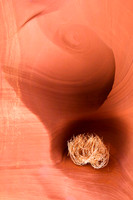 Secret Canyon No. 9045