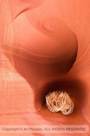 Secret Canyon No. 9045